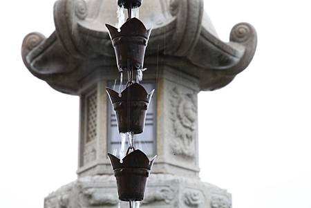 IMG_3169.JPG