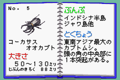 全民飼育系列 - 我的獨角仙 鍬型蟲_47.png