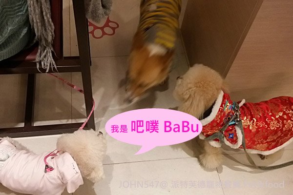 派特芙德寵物餐廳 Pet&amp;food BABU交狗朋友