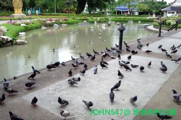 Benchasiri Park班哲希利公園 Bangkok Thai泰國曼谷2