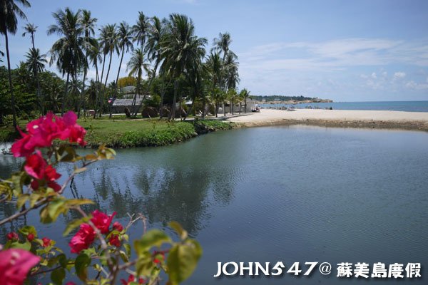 蘇美島騎機車環島6拉邁海灘 Lamai Beach11.jpg