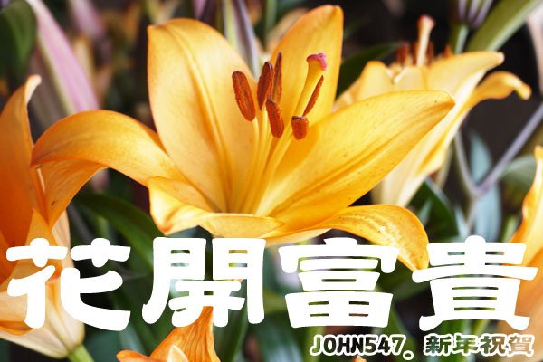 新年祝賀 花開富貴