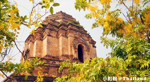 清邁自由行- Wat Chedi Luang Worawihan柴迪隆寺 大佛塔寺 聖隆骨1.jpg