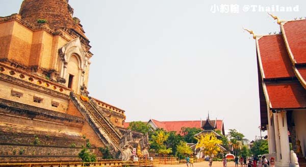 清邁自由行- Wat Chedi Luang Worawihan柴迪隆寺 大佛塔寺 聖隆骨7.jpg