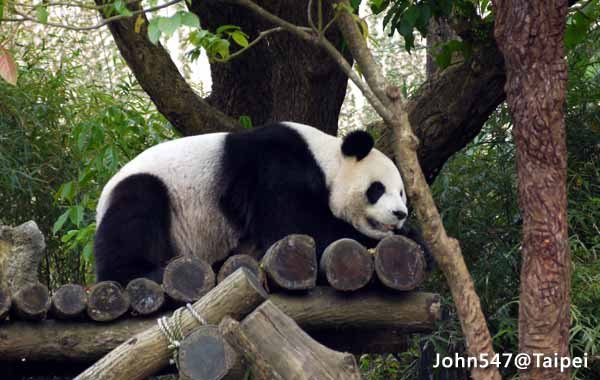 Taipei Zoo-Taipei Must-See