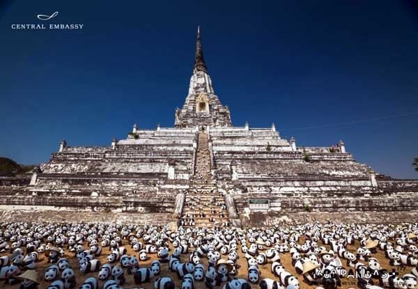 1600 Pandas+ Central Embassy Wat Phu Khao Thong.jpg