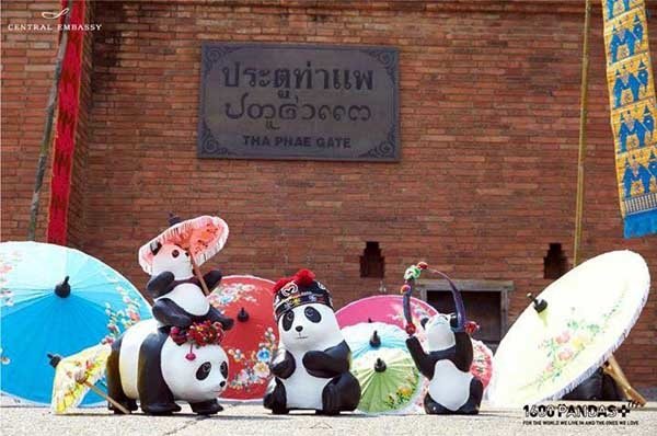 1600 Pandas+ Central Embassy Chiang mai.jpg