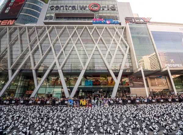 1600 Pandas+ Central World.jpg