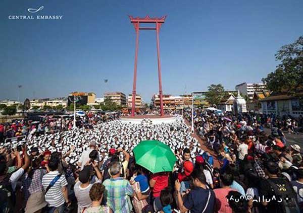 1600 Pandas+The Giant Swing.jpg