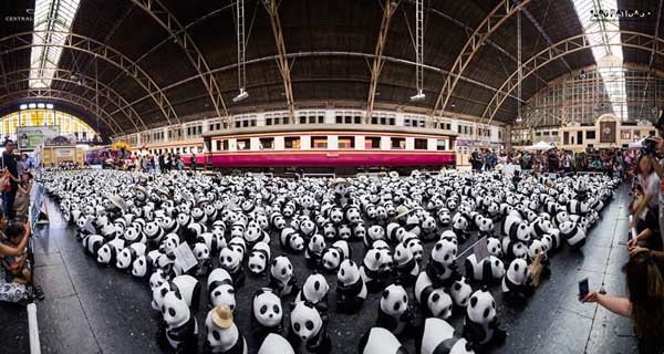 1600 Pandas+ Hua Lamphong.jpg