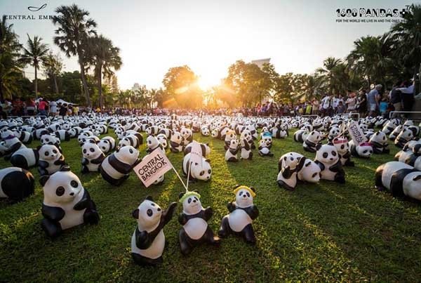 1600 Pandas Lumphini Park.jpg