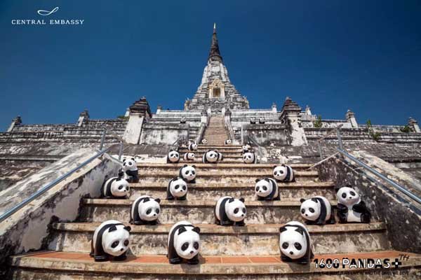 曼谷紙貓熊活動1600 Pandas+Thailand.jpg