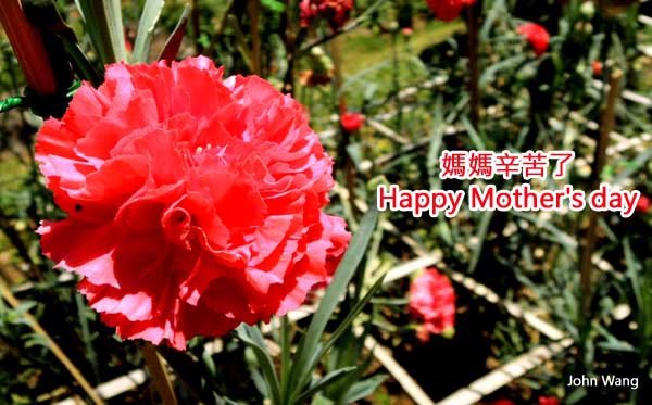 Happy Mother&apos;s day媽媽辛苦了.jpg