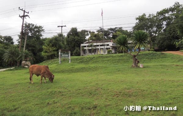 泰國廊開府Nong Khai路上.jpg