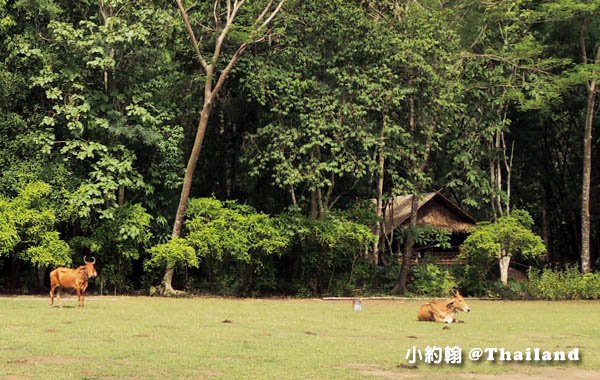 Mon Tribal Village Kanchanaburi16.jpg