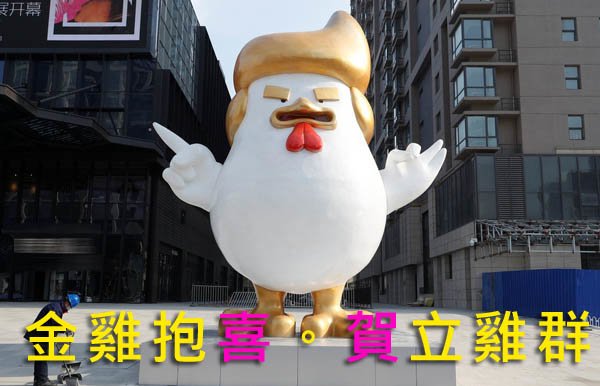 川普雞雕像 金雞抱喜。賀立雞群 