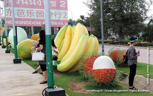 芭東風情園Nongnooch Tradition Center紅毛丹.jpg