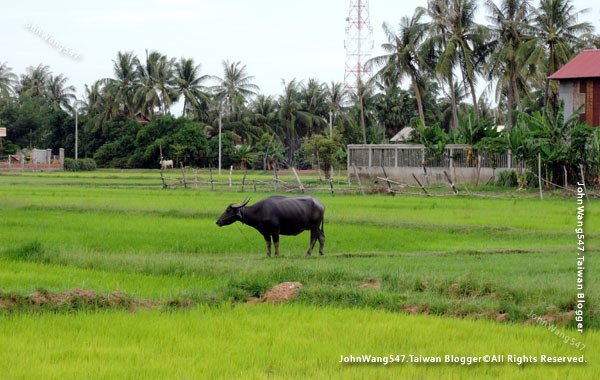 Siem Reap Quad Bike ATV tour10.jpg