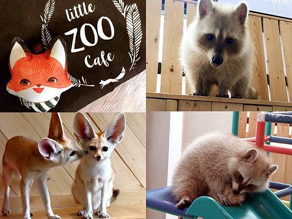 Little zoo cafe Bangkok0.jpg