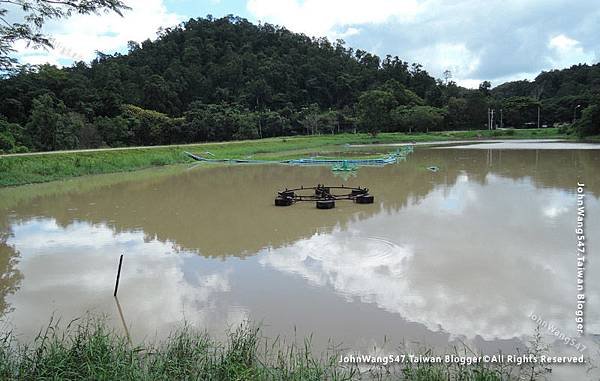 Thai Elephant Conservation Center(TECC)Lampang5.jpg