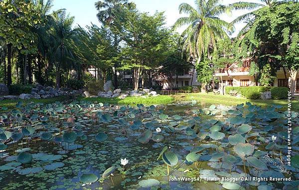 Ficus Spa Felix River Kwai Resort Kanchanaburi lotus pond.jpg