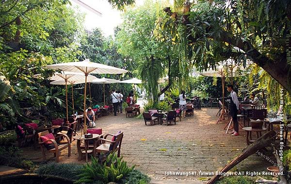 Fern Forest Cafe Chiang Mai.jpg