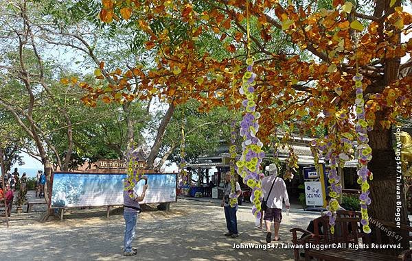 芭達雅真理寺Sanctuary of Truth Pattaya3.jpg