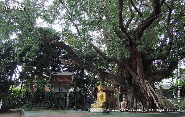 Wat Pan Whaen Chiang Mai12.jpg