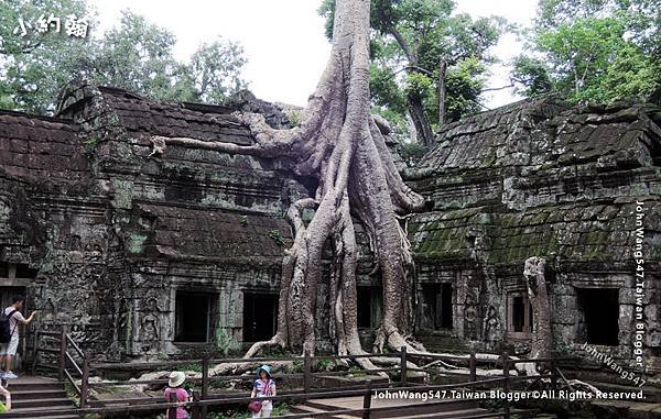 柬埔寨塔普倫寺Ta Prohm Cambodia.jpg