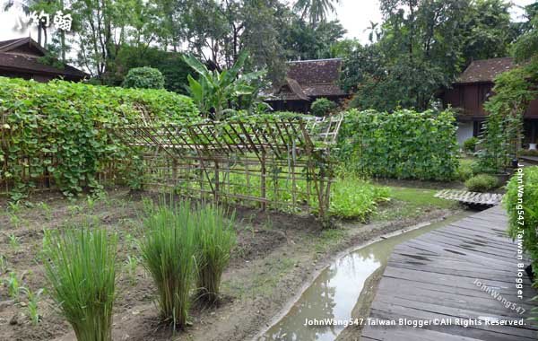 Dhara Dhevi Hotel vegetable Garden Villa3.jpg