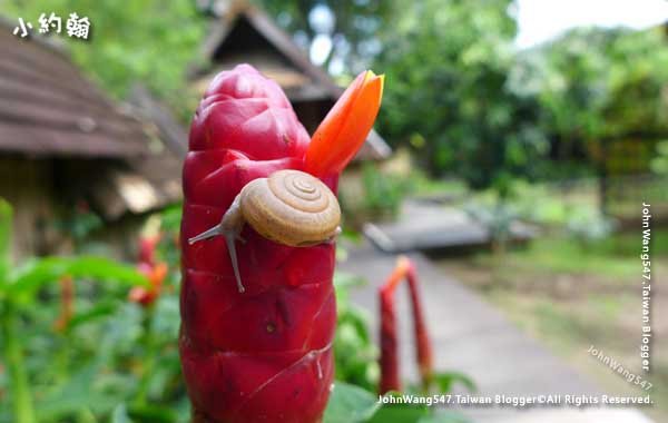 Dhara Dhevi Hotel vegetable Garden Villa4.jpg