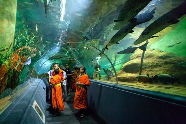 清邁動物園Chiang Mai Zoo水族館.jpg