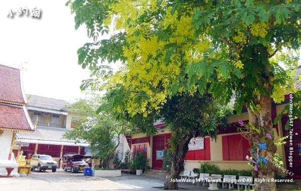 阿勃勒Cassia Fistula金鍊花黃金雨Wat Saen Fang佛寺.jpg