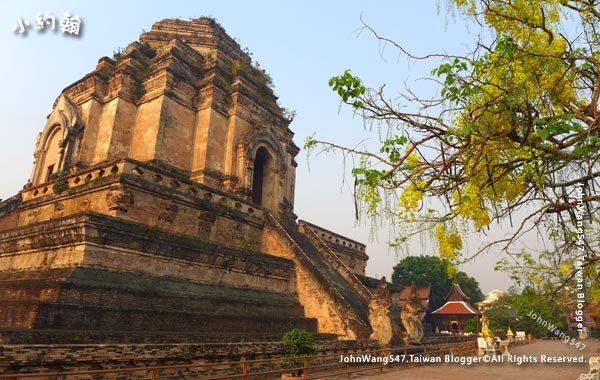 阿勃勒Cassia Fistula清邁Wat Chedi Luang Temple柴迪隆寺.jpg