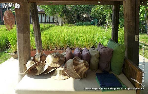 Siripanna Chiang Mai Rice Field Planting3.jpg