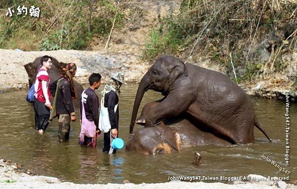 Chiang Mai Kerchor Elephant Eco Park Tour1.jpg