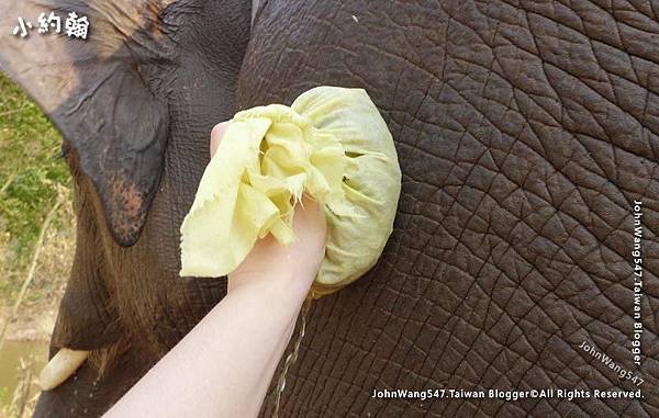 Chiang Mai Kerchor Elephant massage2.jpg