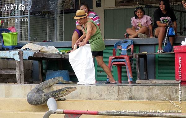 Amphawa water monitor.jpg