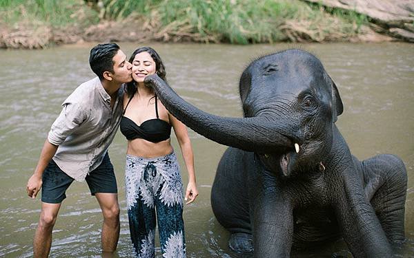 Chai Lai Orchid Phutawan Elephant Camp.jpg