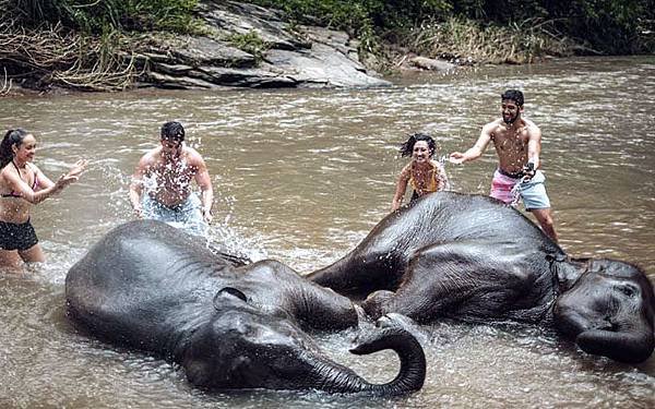 Chai Lai Orchid Elephant Camp Photos6.jpg