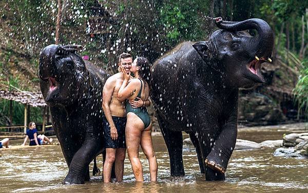 Chai Lai Orchid Elephant Camp Photos1.jpg