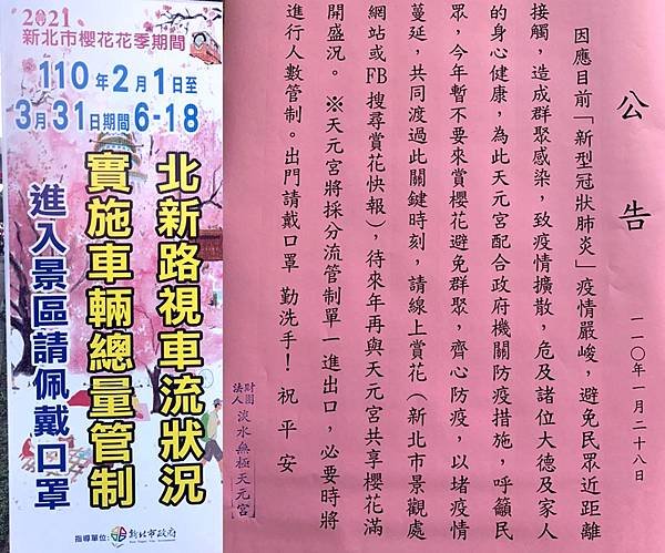 2021淡水無極天元宮賞櫻花公告.jpg