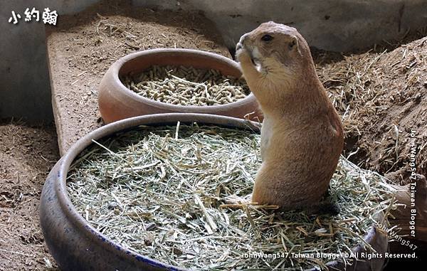 Kwan Riam Floating Market mini zoo4.jpg