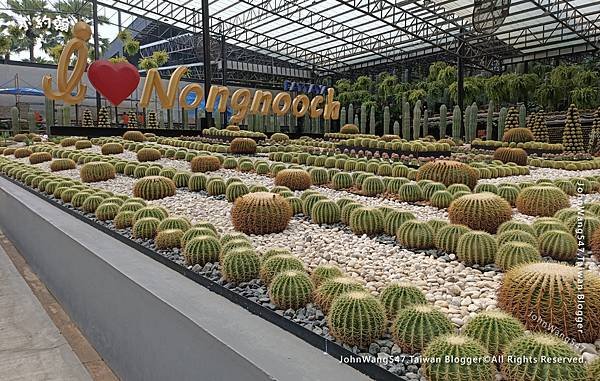 芭達雅3天2夜自由行Pattaya Nong Nooch Tropical Garden東芭樂園文化村2.jpg