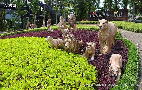 芭達雅3天2夜自由行Pattaya Nong Nooch Tropical Garden東芭樂園文化村8.jpg