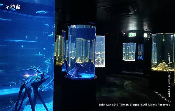 芭達雅3天2夜自由行Underwater World Pattaya芭達雅海底世界海洋館3.jpg