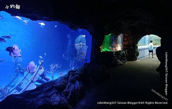 芭達雅3天2夜自由行Underwater World Pattaya芭達雅海底世界海洋館2.jpg