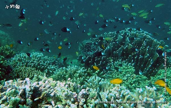 God&apos;s Aquarium Sipadan Sabah.jpg