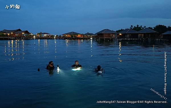 Semporna Sabah night diving沙巴夜間潛水.jpg