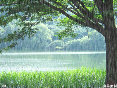 image003